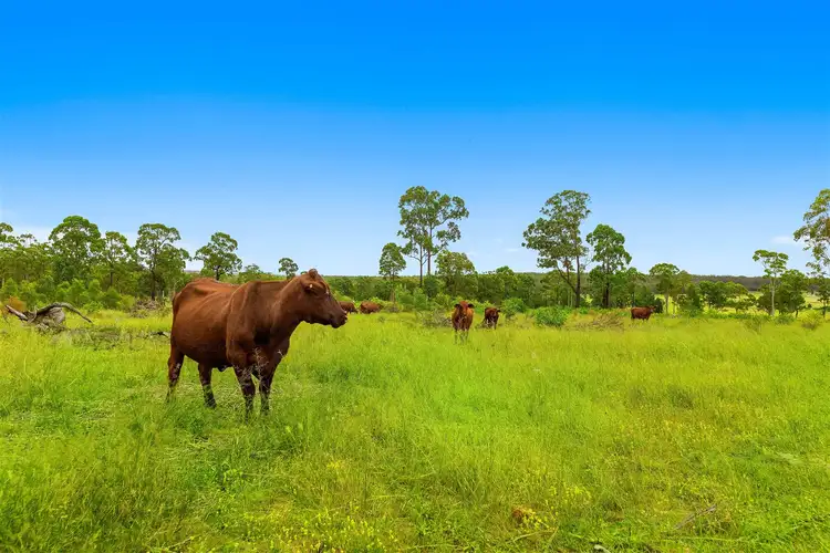 Third view of Homely rural property listing, 250 Vonhoff Road, Goombungee QLD 4354