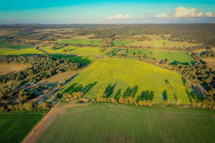 'Korrawong' 269 Gundy Creek Rd, Gilgandra NSW 2827