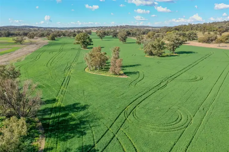 Third view of Homely rural property listing, 'Korrawong' 269 Gundy Creek Rd, Gilgandra NSW 2827