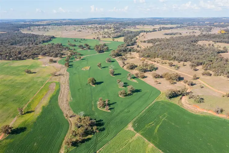 Fifth view of Homely rural property listing, 'Korrawong' 269 Gundy Creek Rd, Gilgandra NSW 2827