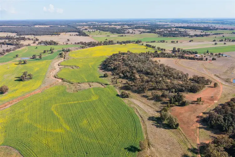 Sixth view of Homely rural property listing, 'Korrawong' 269 Gundy Creek Rd, Gilgandra NSW 2827