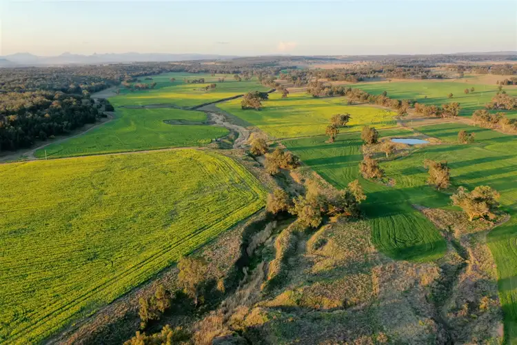 Seventh view of Homely rural property listing, 'Korrawong' 269 Gundy Creek Rd, Gilgandra NSW 2827