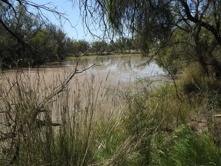 Sixth view of Homely rural property listing, lot 5 Sandalwood ave; West, Dalby QLD 4405