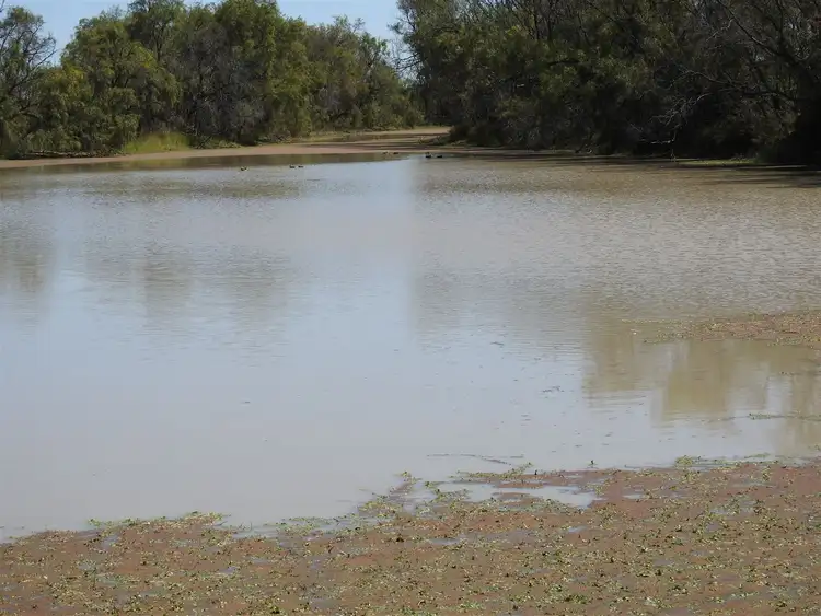 Seventh view of Homely rural property listing, lot 5 Sandalwood ave; West, Dalby QLD 4405