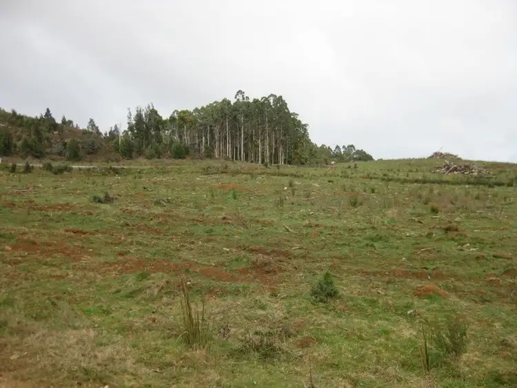 Main view of Homely rural property listing, PID 6220223 Newhaven Road, Mawbanna TAS 7321