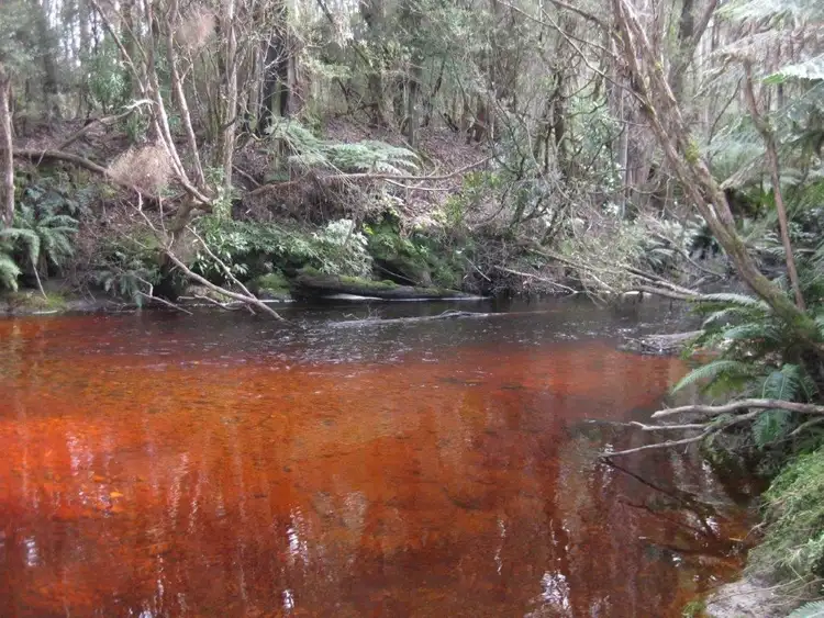 Second view of Homely rural property listing, PID 6220223 Newhaven Road, Mawbanna TAS 7321