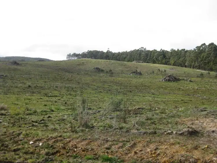 Seventh view of Homely rural property listing, PID 6220223 Newhaven Road, Mawbanna TAS 7321