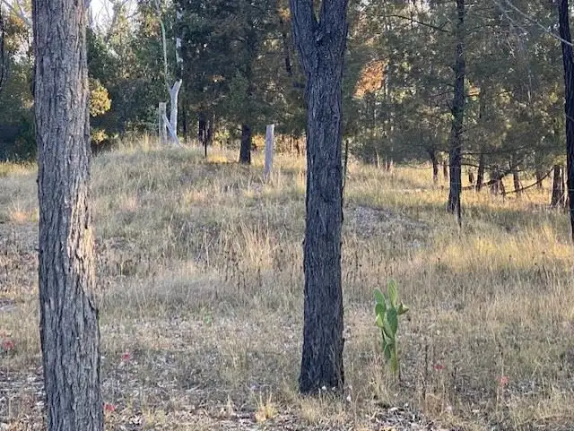 Third view of Homely land listing, Lot 1 Macintyre Street South, Leyburn QLD 4365
