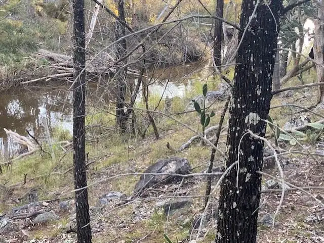 Seventh view of Homely land listing, Lot 1 Macintyre Street South, Leyburn QLD 4365