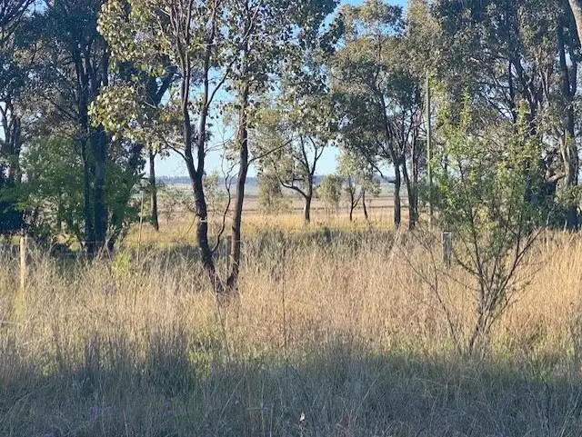 Second view of Homely land listing, Lot 116 Barron Street, Hendon QLD 4362