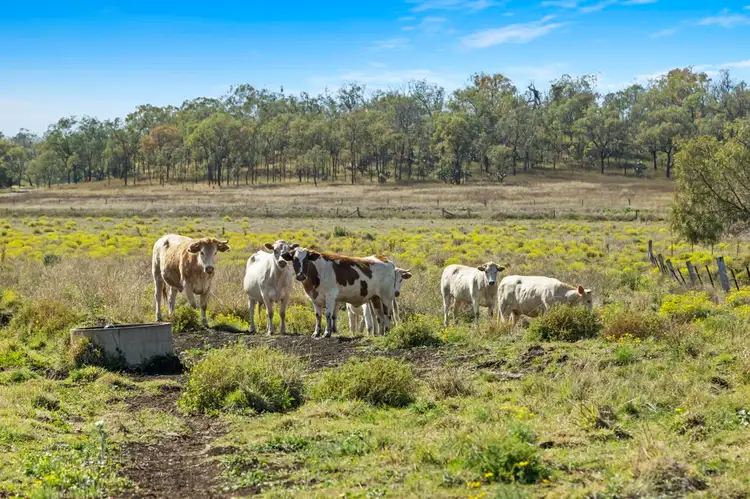Third view of Homely rural property listing, 259 Aubigny Crosshill Road, Aubigny QLD 4401