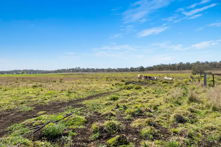 Fourth view of Homely rural property listing, 259 Aubigny Crosshill Road, Aubigny QLD 4401