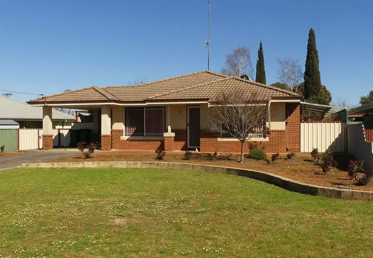 53 Jarrah Road, Manjimup WA 6258