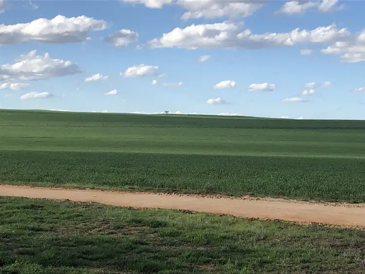 Sixth view of Homely rural property listing, S42 Karoonda Hwy, Alawoona SA 5311