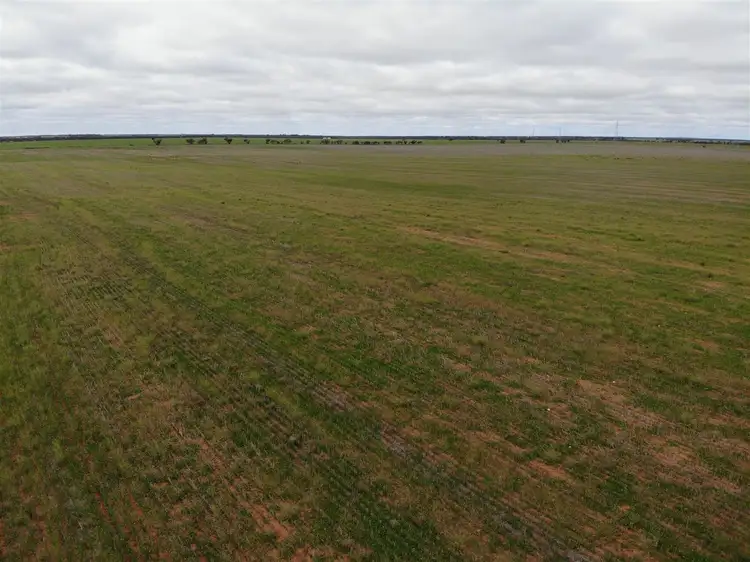 Fourth view of Homely rural property listing, . Daytrap road, Manangatang VIC 3546