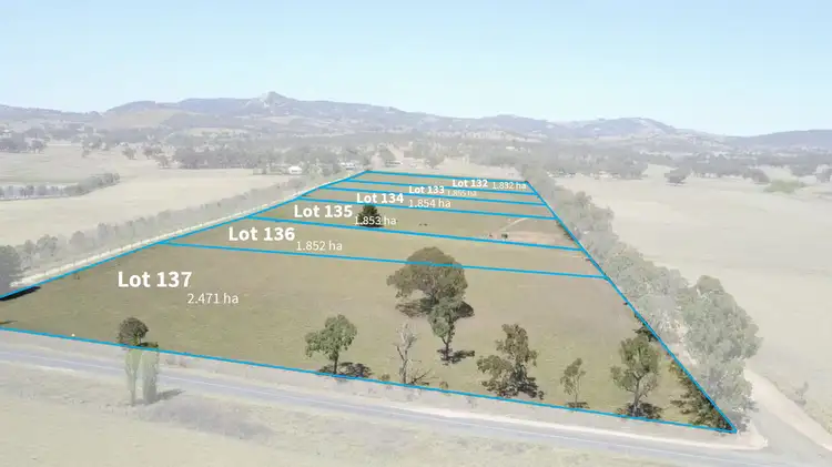 Fifth view of Homely rural property listing, 19 Haddocks Road, Tenterfield NSW 2372