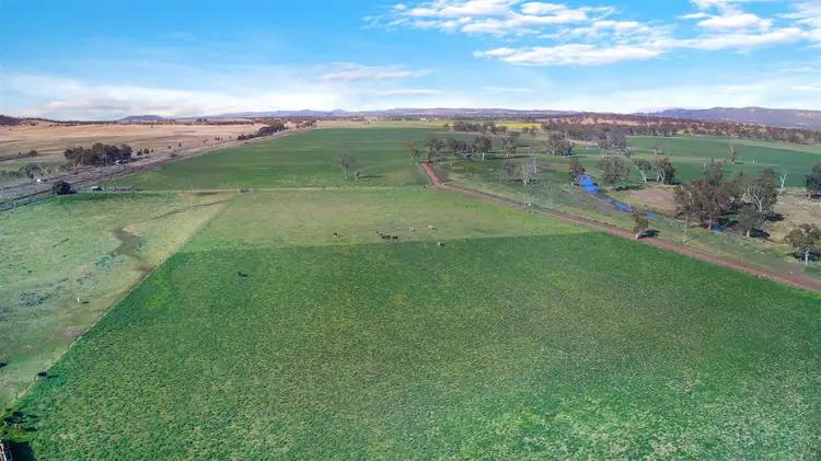 Fifth view of Homely rural property listing, 'St Aubins Without' 2335 New England Hwy, Scone NSW 2337