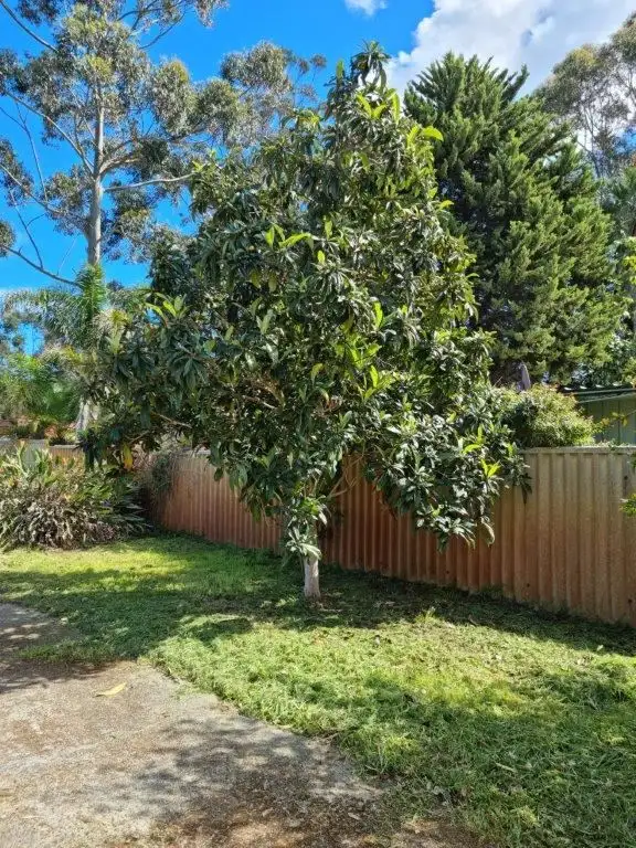 Seventh view of Homely land listing, 163 Pearse Road, Wattleup WA 6166