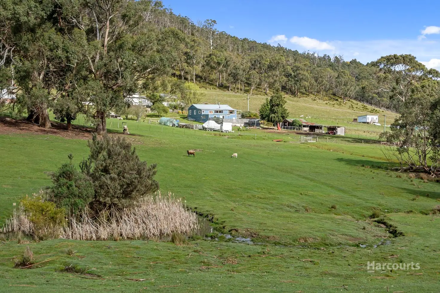 Main view of Homely house listing, 129 Scotts Road, Geeveston TAS 7116