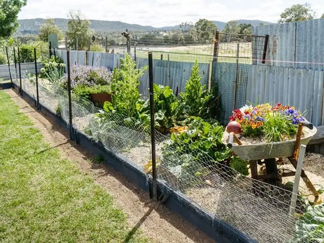 Fifth view of Homely rural property listing, 132c Sunnyside Platform Road, Tenterfield NSW 2372