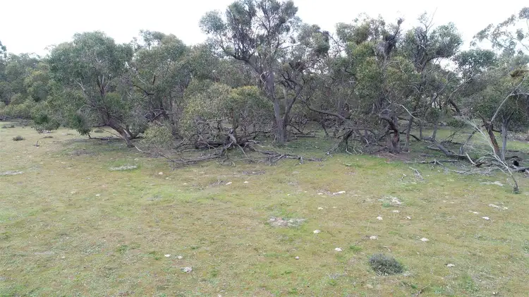 Seventh view of Homely rural property listing, 260 Emmersons Road, Noradjuha VIC 3409