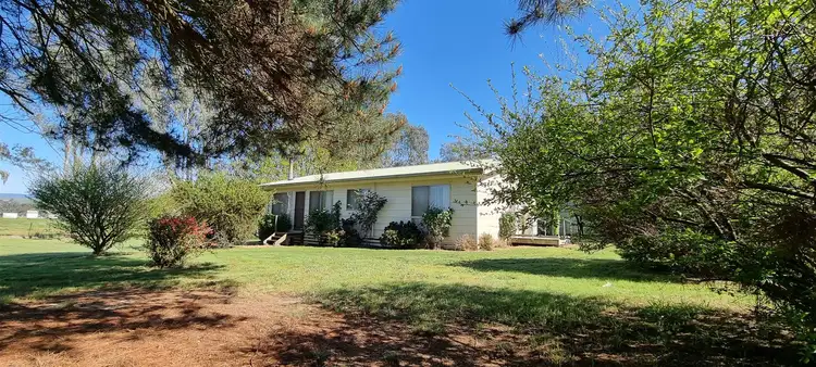 111 Crusoe Lane