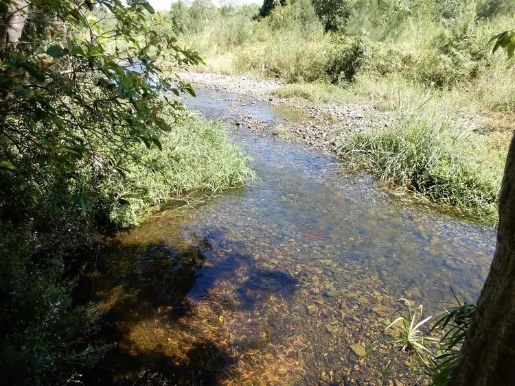 Fourth view of Homely rural property listing, Address available on request