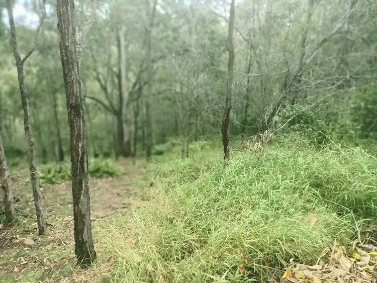 Fifth view of Homely land listing, 118-120 Campbell Drive, Kooralbyn QLD 4285