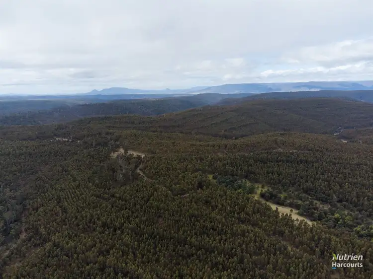 PID 1913063 Rossarden Road, Rossarden TAS 7213