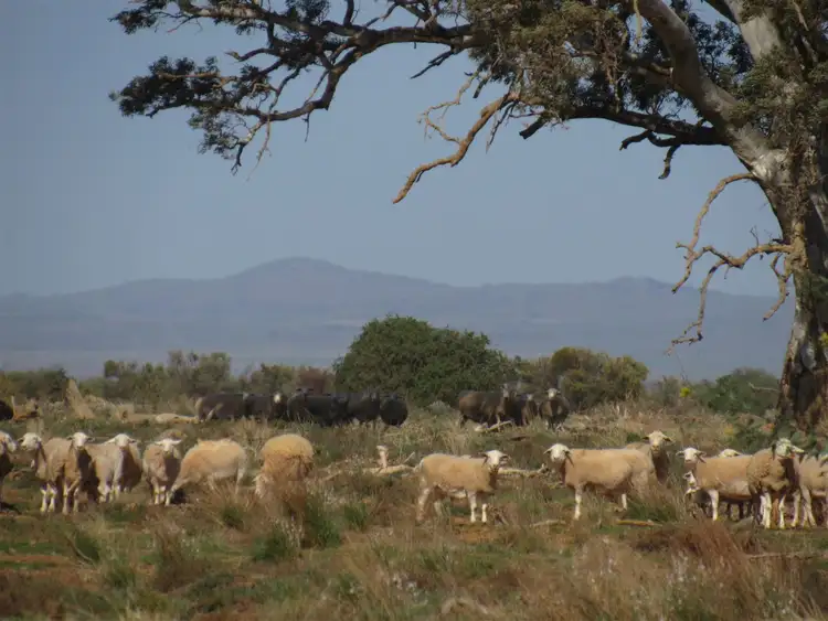 Second view of Homely rural property listing, 2261 Johnburgh Road, Orroroo SA 5431