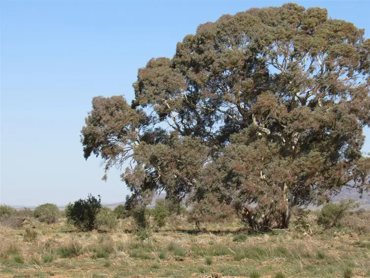 Fourth view of Homely rural property listing, 2261 Johnburgh Road, Orroroo SA 5431
