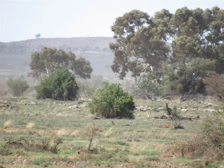 Fifth view of Homely rural property listing, 2261 Johnburgh Road, Orroroo SA 5431
