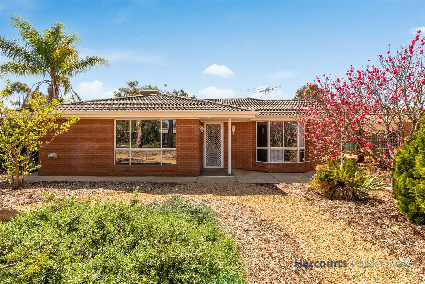 Main view of Homely house listing, 66 Chellaston Road, Munno Para West SA 5115