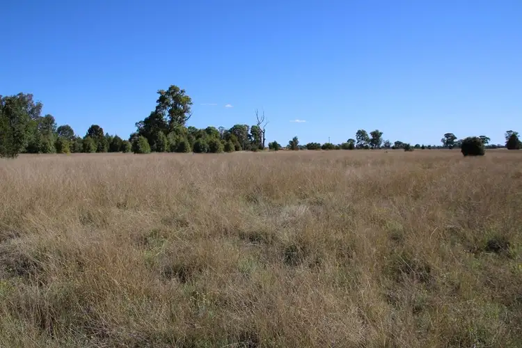 Fifth view of Homely rural property listing, 72 Culgoora Road, Narrabri NSW 2390