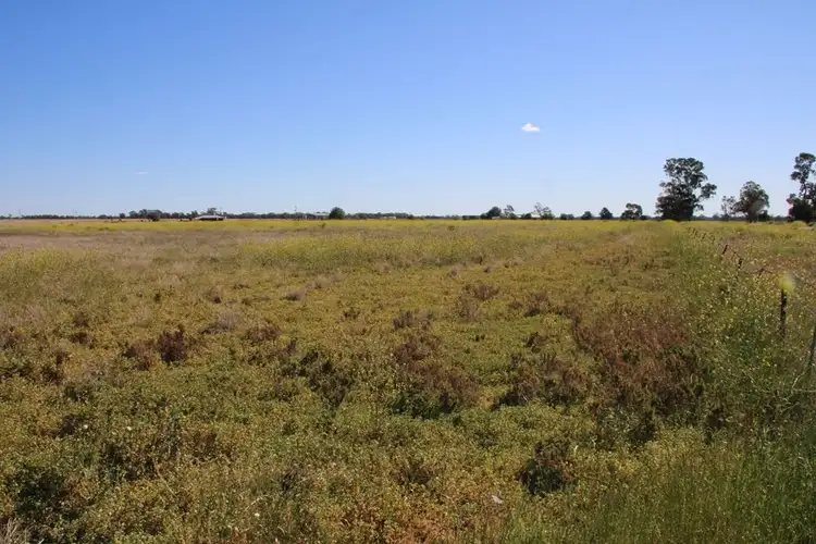 Seventh view of Homely rural property listing, 72 Culgoora Road, Narrabri NSW 2390