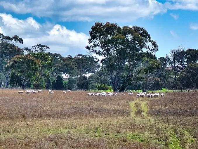 Seventh view of Homely rural property listing, 112 Glen Alice Road, Rylstone NSW 2849