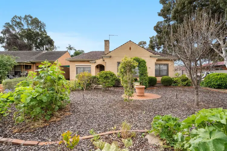 24 Morgan Avenue, Daw Park SA 5041