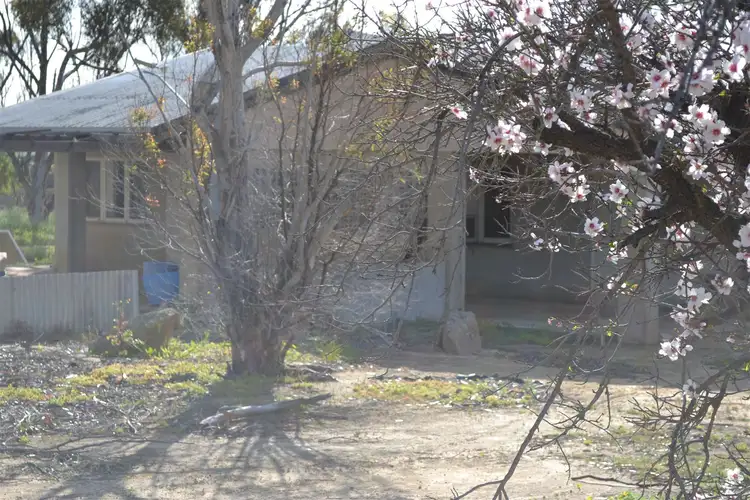 Sixth view of Homely rural property listing, . Bungulla North Road, Tammin WA 6409