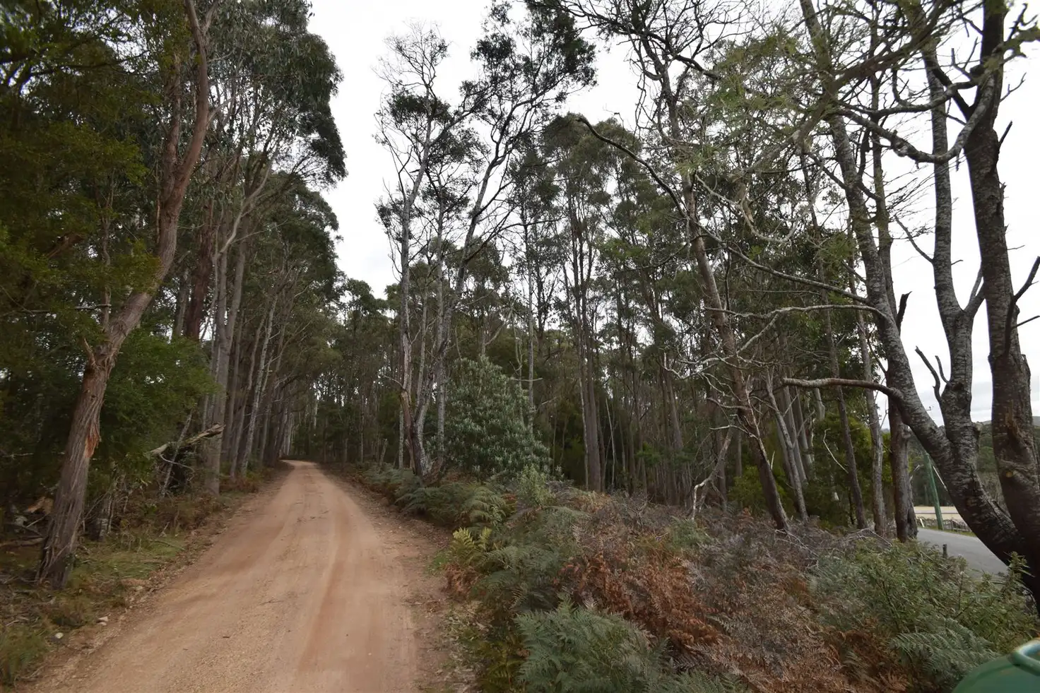 Main view of Homely rural property listing, Lot 0 Dynans Bridge Road, Weegena TAS 7304