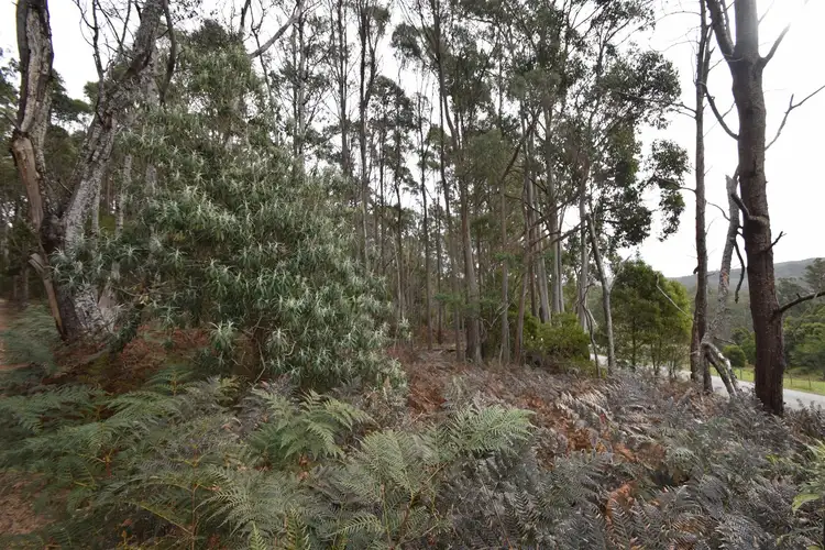 Second view of Homely rural property listing, Lot 0 Dynans Bridge Road, Weegena TAS 7304