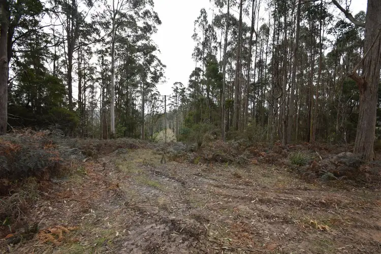 Third view of Homely rural property listing, Lot 0 Dynans Bridge Road, Weegena TAS 7304