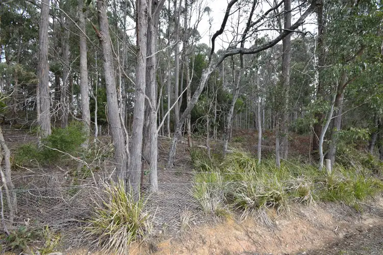 Fourth view of Homely rural property listing, Lot 0 Dynans Bridge Road, Weegena TAS 7304