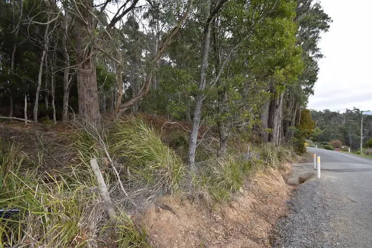 Fifth view of Homely rural property listing, Lot 0 Dynans Bridge Road, Weegena TAS 7304