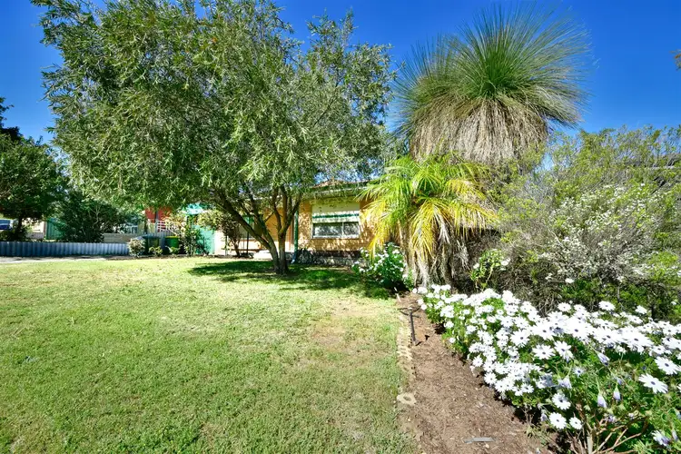 Second view of Homely house listing, 14 Paul Way, Orelia WA 6167