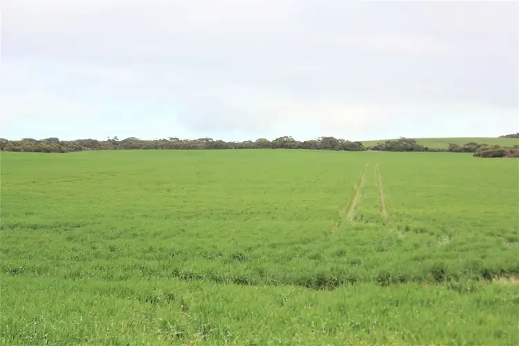 Main view of Homely rural property listing, Lot 502 McKenzie Road, Foul Bay SA 5577