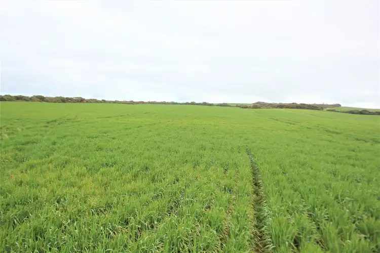 Second view of Homely rural property listing, Lot 502 McKenzie Road, Foul Bay SA 5577