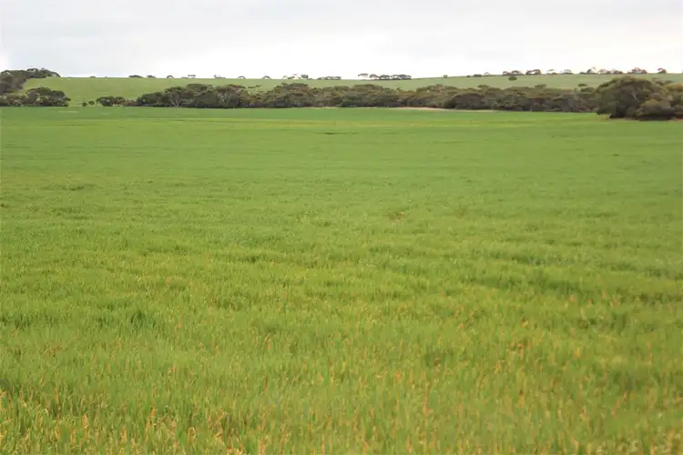 Third view of Homely rural property listing, Lot 502 McKenzie Road, Foul Bay SA 5577