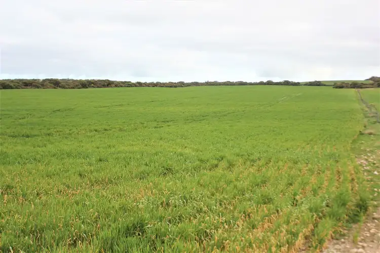 Fourth view of Homely rural property listing, Lot 502 McKenzie Road, Foul Bay SA 5577
