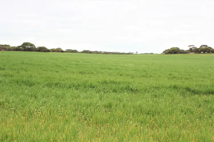 Fifth view of Homely rural property listing, Lot 502 McKenzie Road, Foul Bay SA 5577