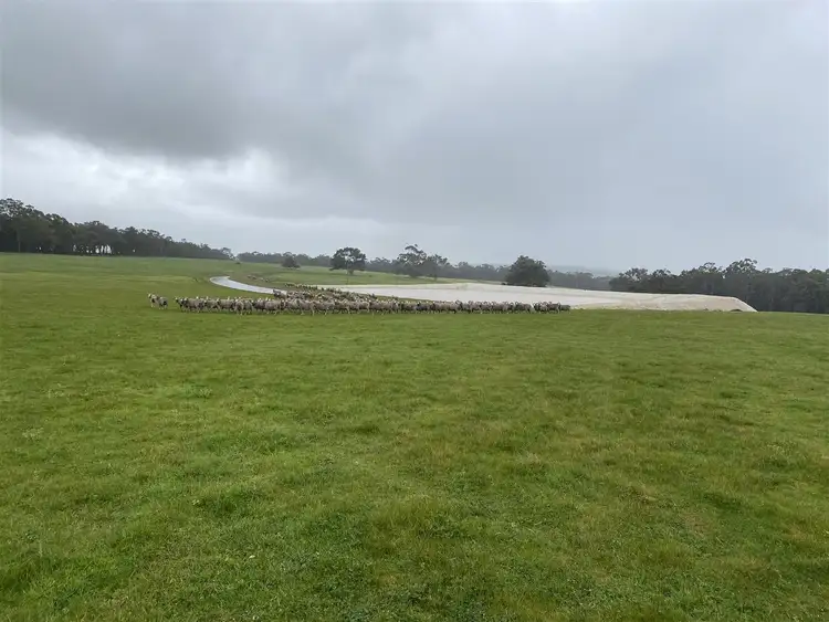 Main view of Homely rural property listing, ' Karinya', Napier WA 6330